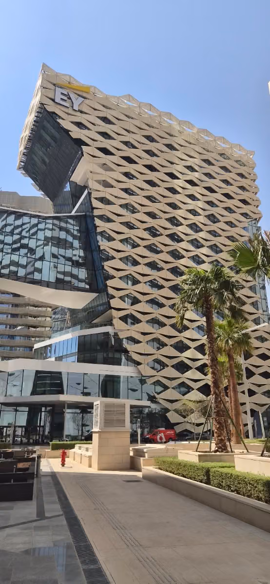 إرنست و يونغ