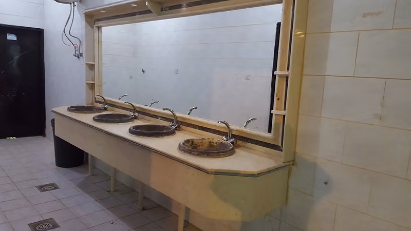 إستراحة النخيل