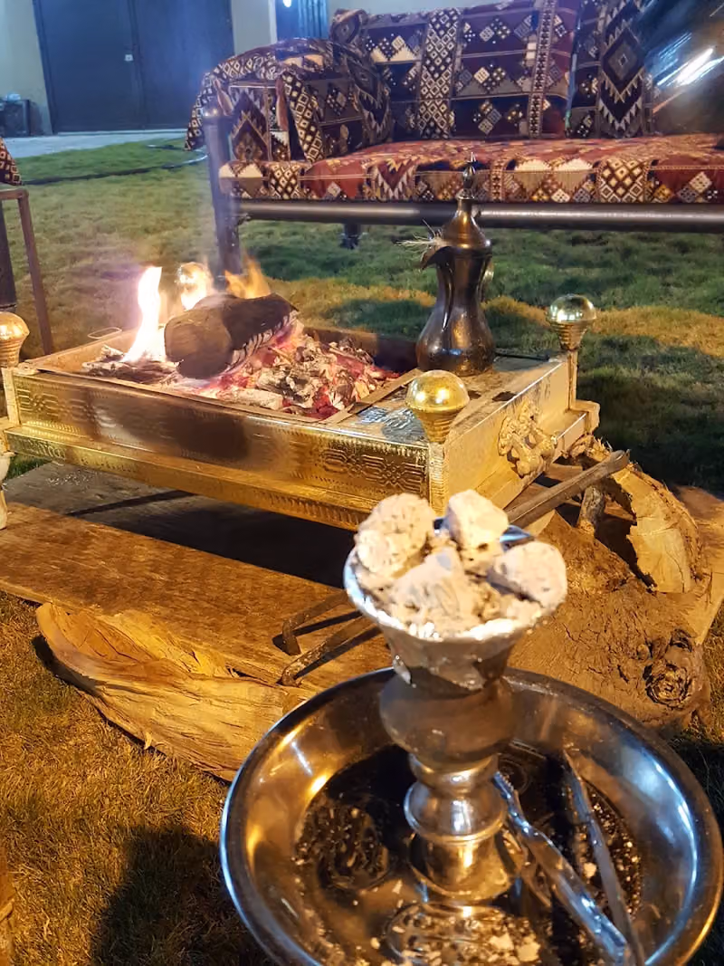 إستراحة النخيل