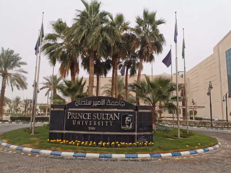 جامعة الأمير سلطان
