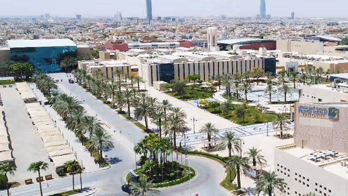 Prince Sultan University