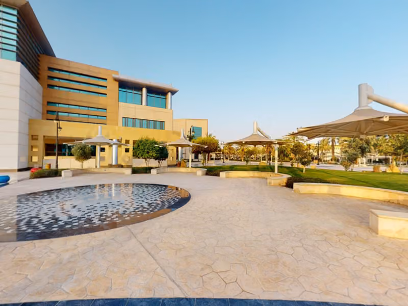Prince Sultan University