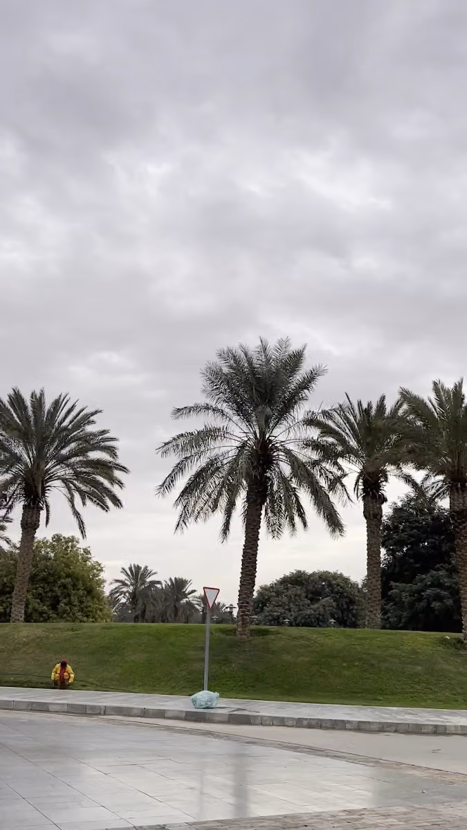 جامعة الملك سعود بن عبدالعزيز للعلوم الصحية