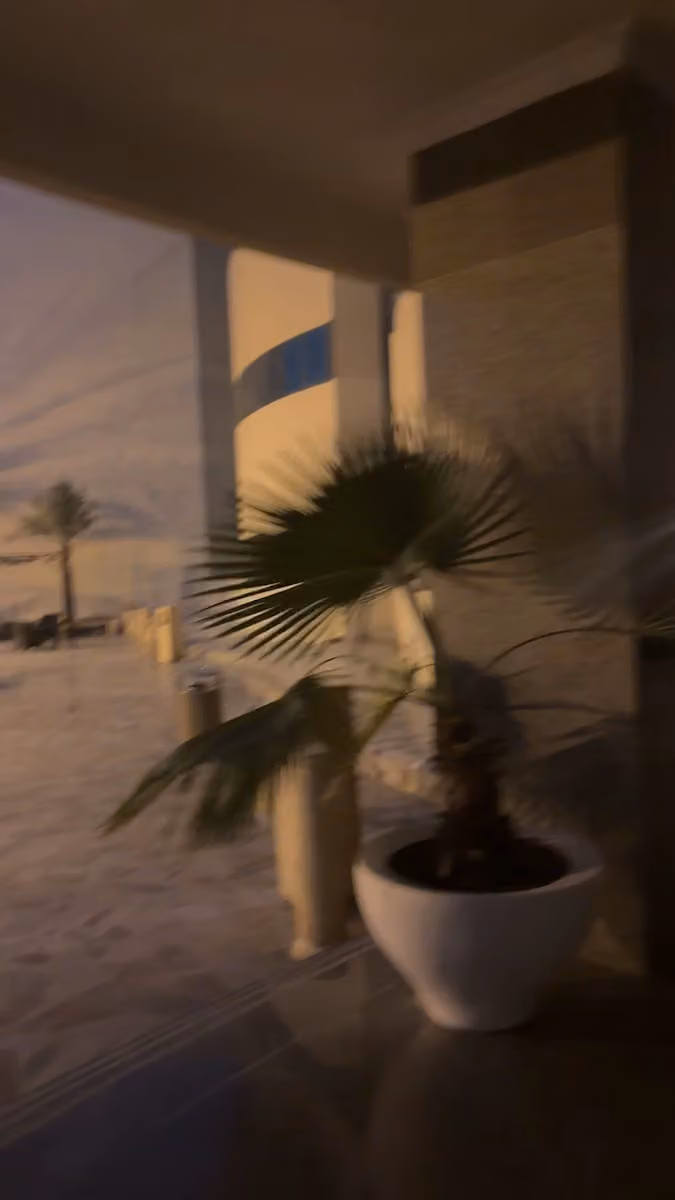 جامعة دار العلوم