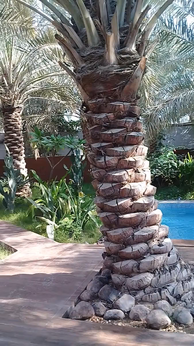 Jawah Resort