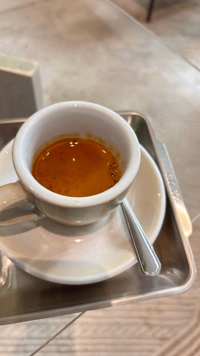 جذر