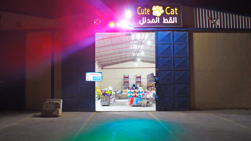 جملة القط المدلل مستودع