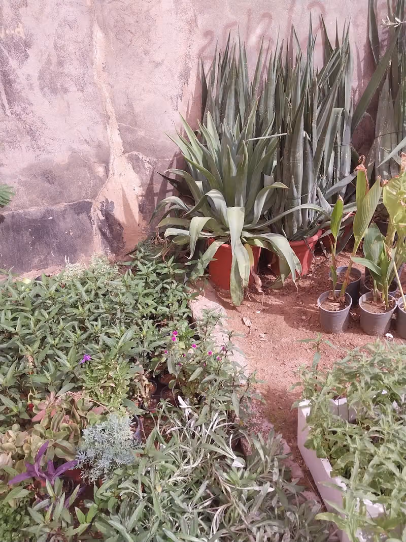 جنى العقارية
