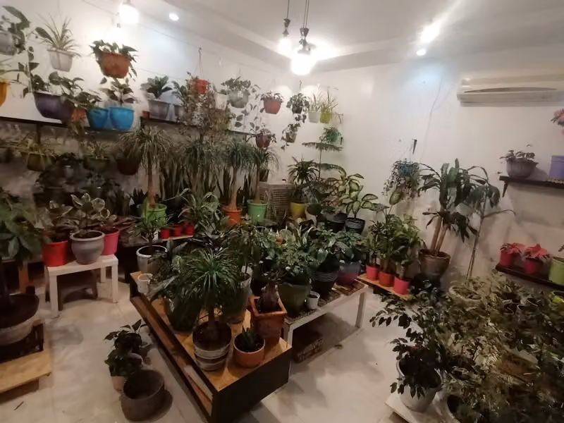 Joory Garden