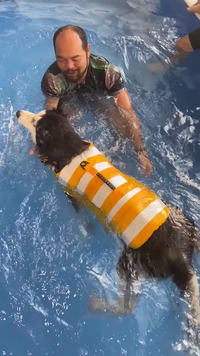 Kai Dog Daycare