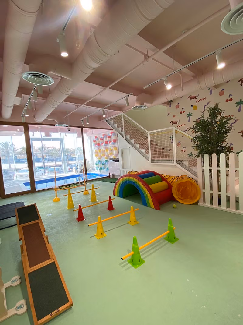 Kai Dog Daycare