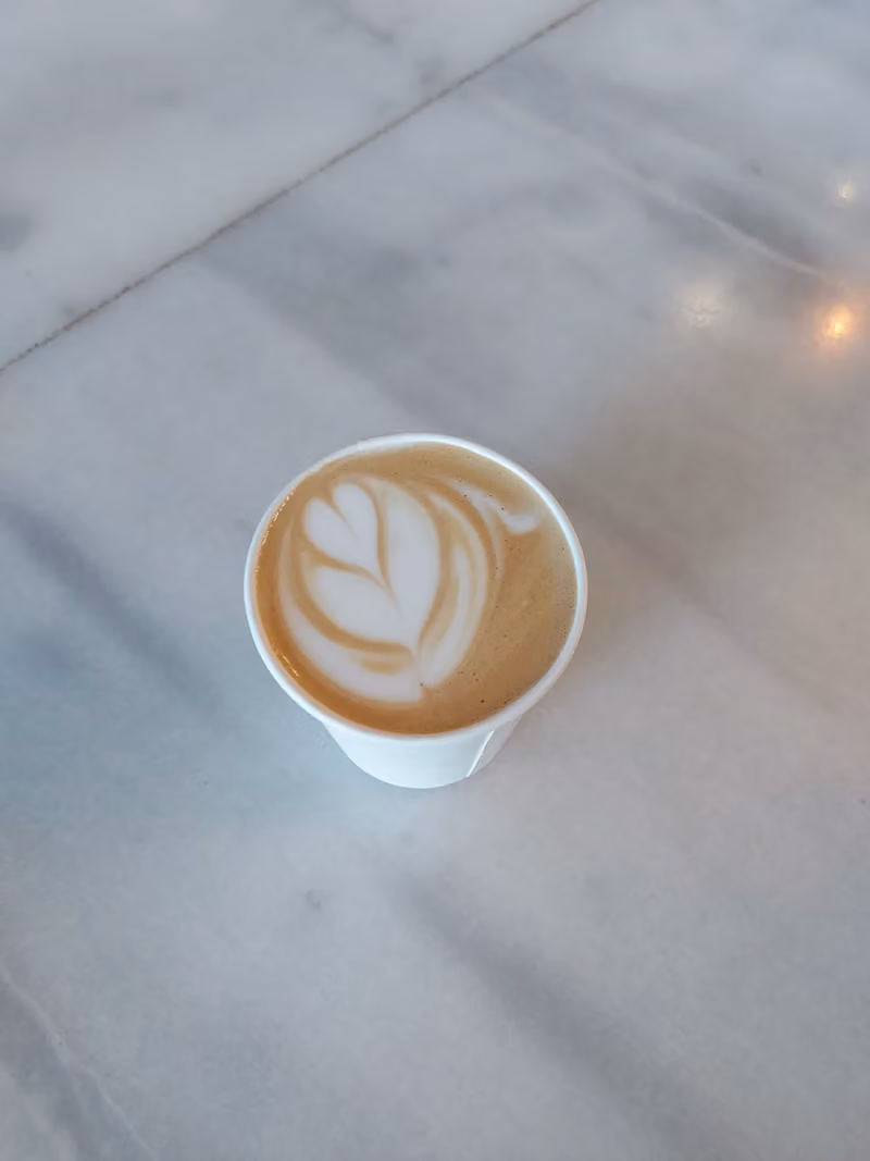 Cactus Cafe كاكتس كافيه