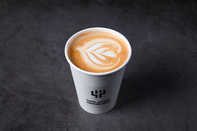 Cactus Cafe كاكتس كافيه