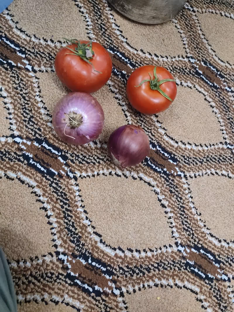 Ali Ayed Al Shahri Fruits and Vegetables