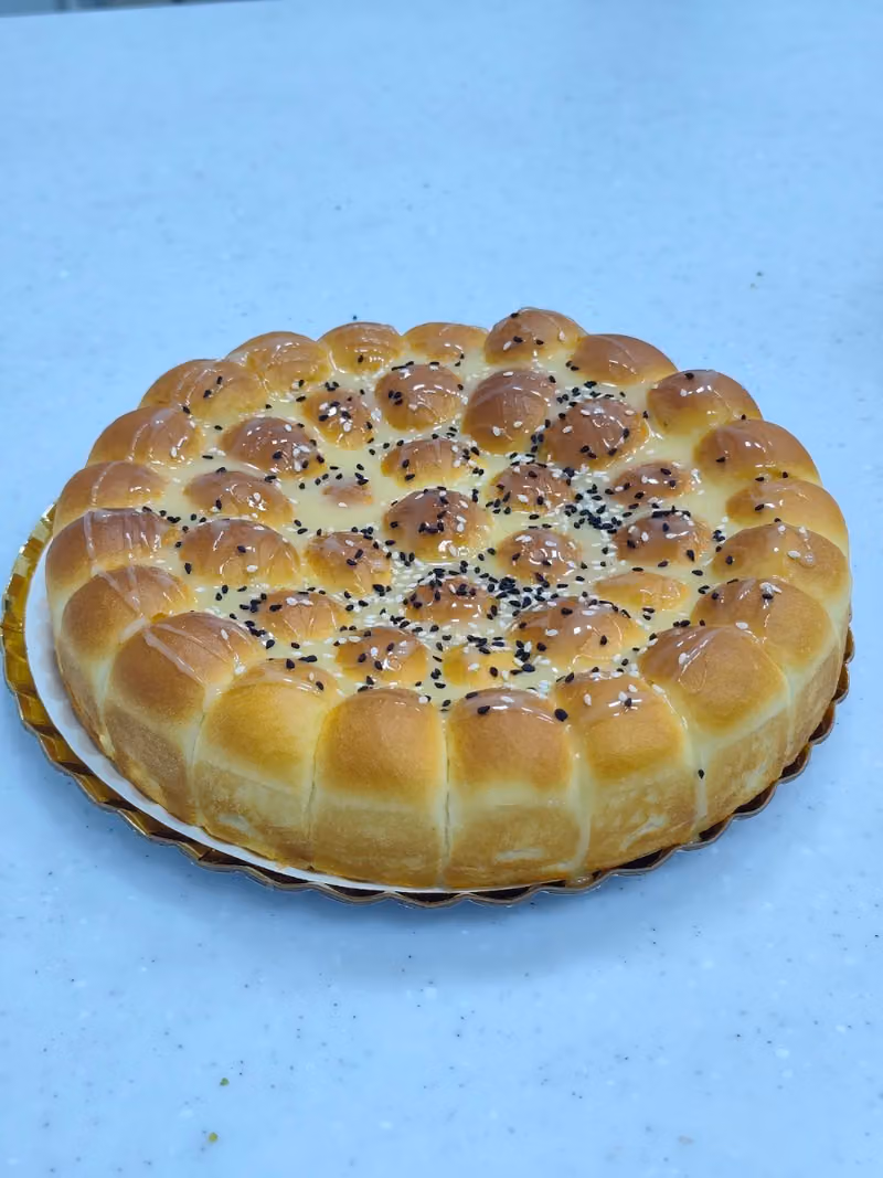 خلية الريان فرع طويق