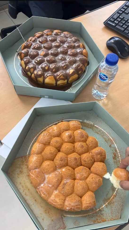 خلية ناش - المهدية