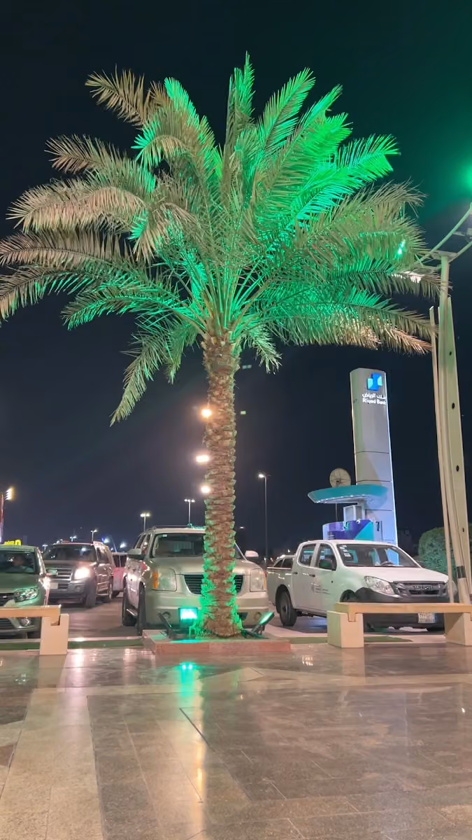 كهربائي وزينة سيارات