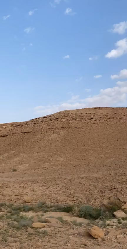 خطوات جمل