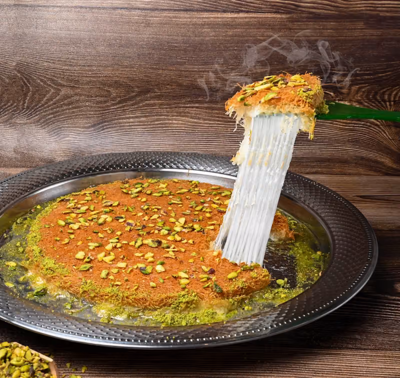 خير الجياد للاجبان غنية