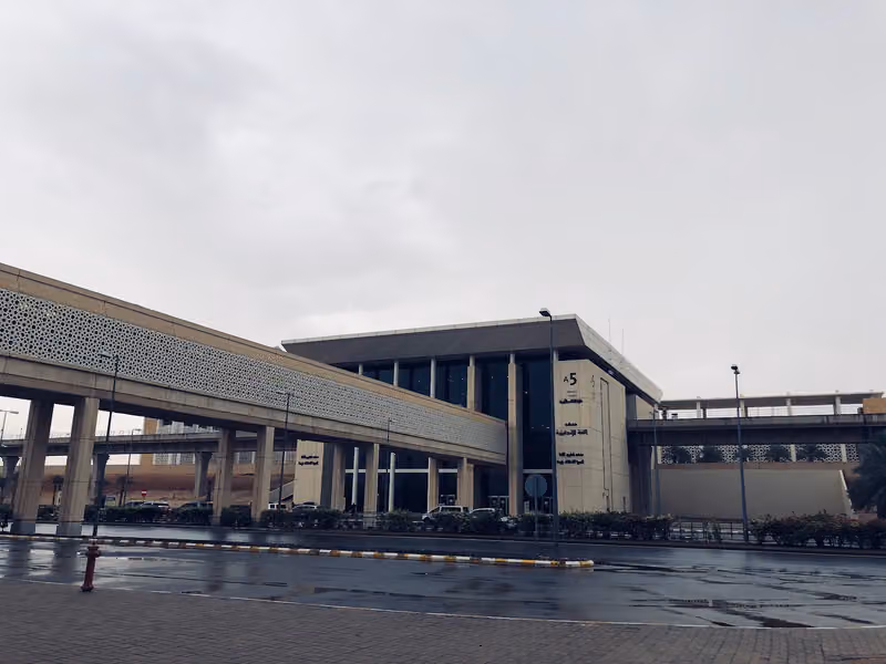 College Of Languages
