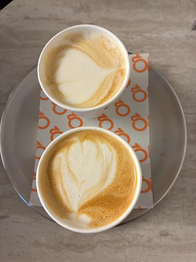 كوفي هورس | Horse Coffee