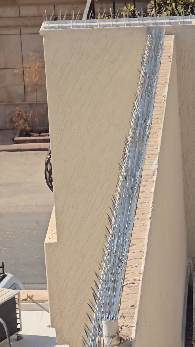 ارجان بارك الحمراء