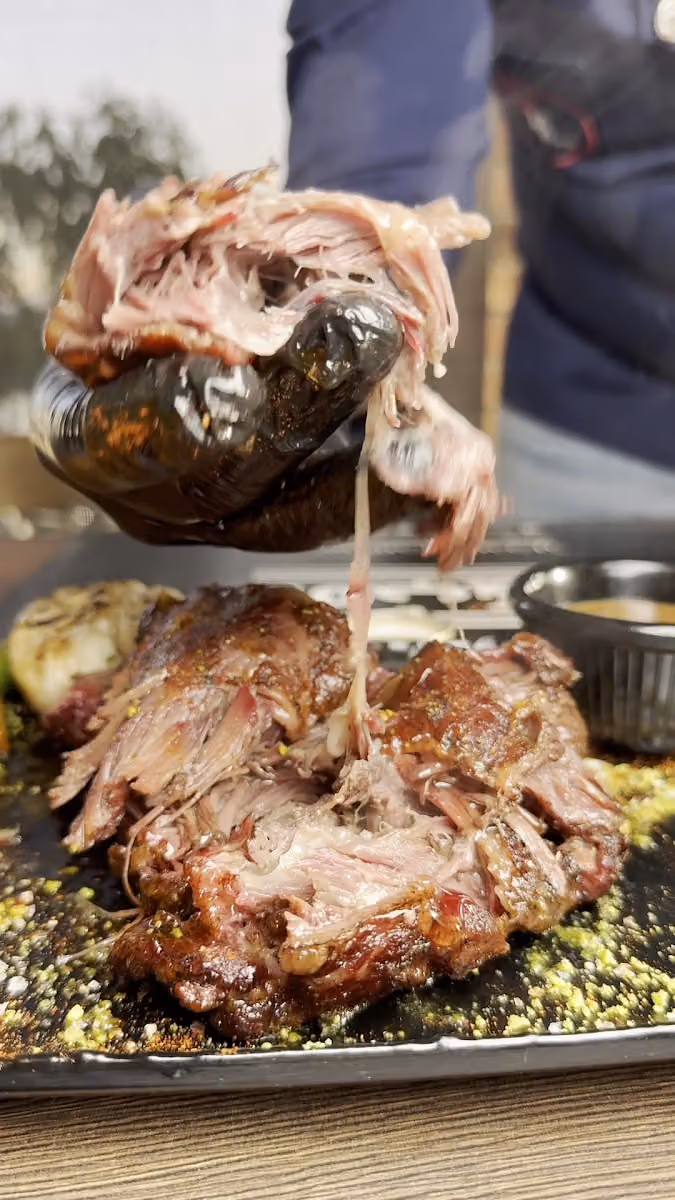 Lamb & Co لامب & كو
