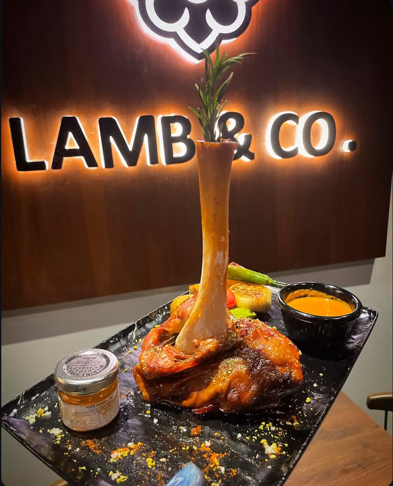 Lamb & Co لامب & كو