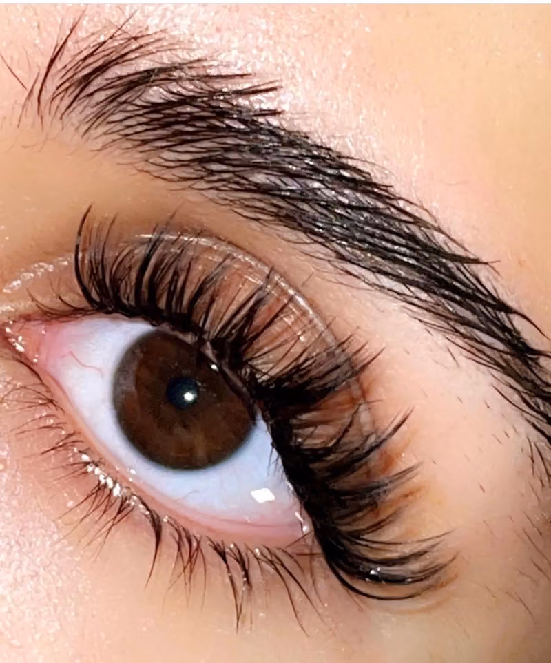 lashes eve salon