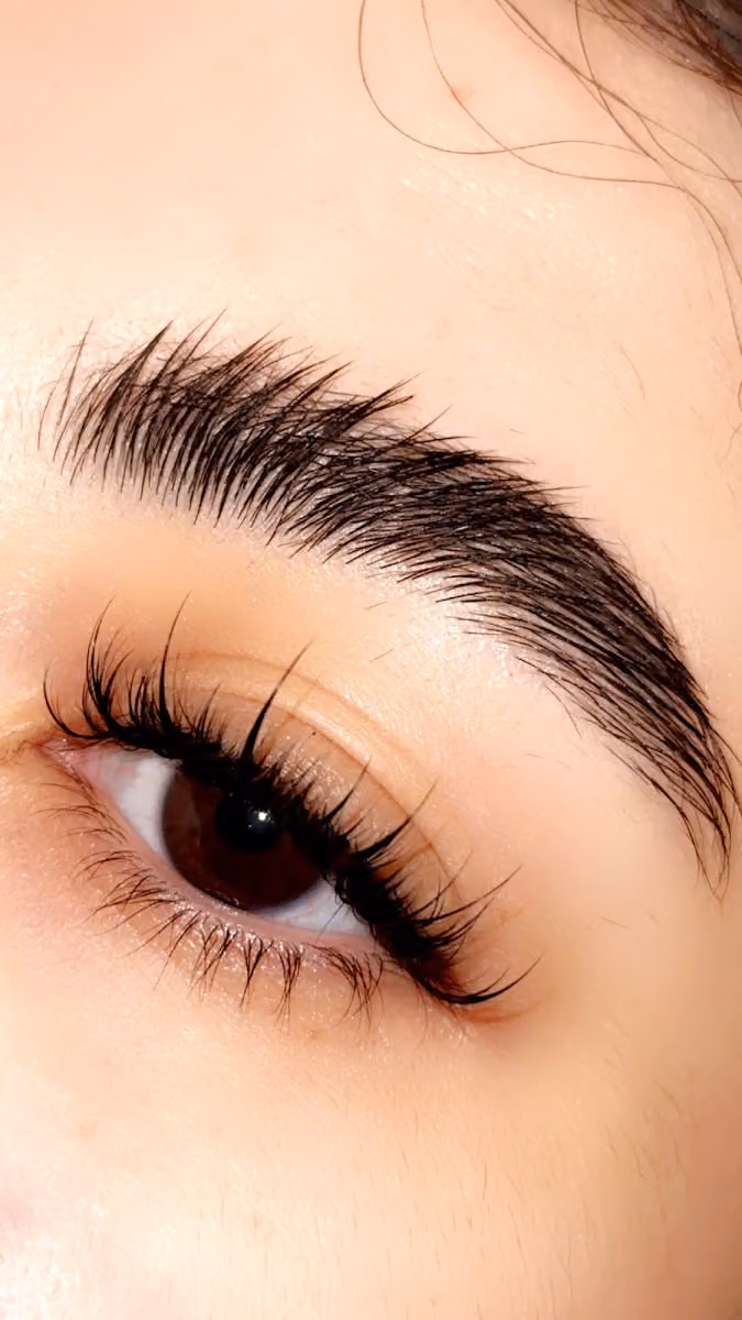 lashes eve salon