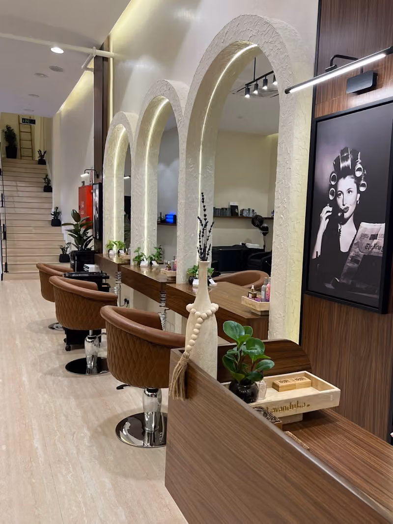 Lavandula salon