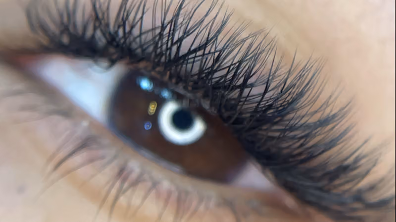 Lavendare Lashes