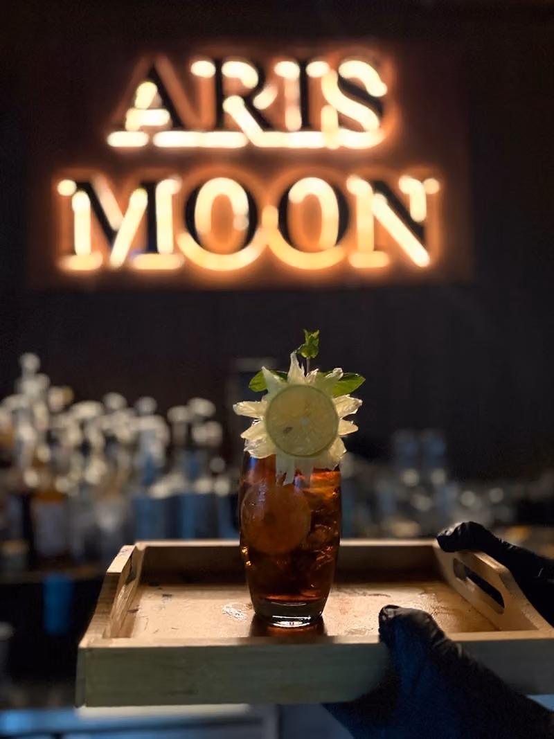 لاونج أريس مون.ARIS MOON