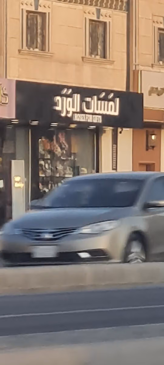 لايف آند بلوم