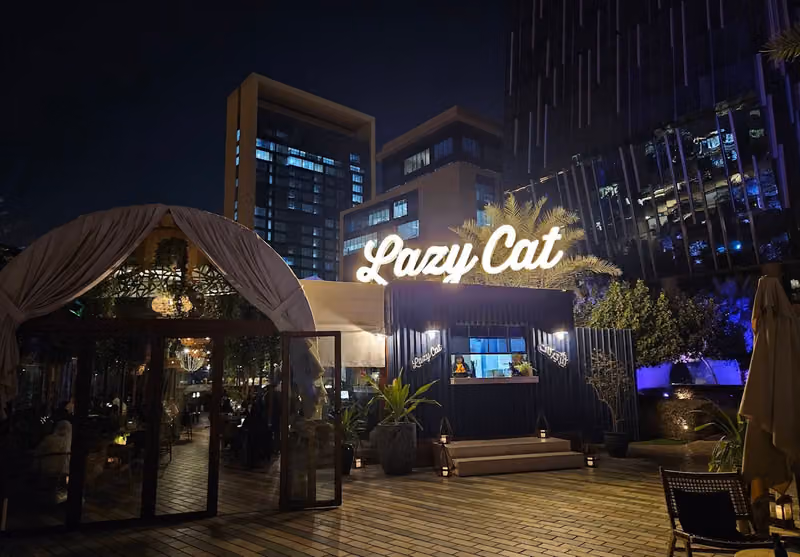 Lazy Cat