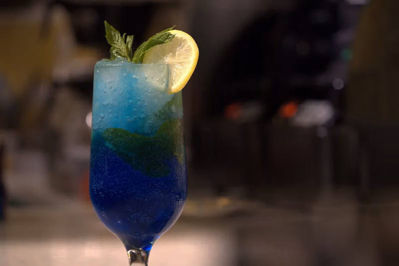 Lemon Garden Lounge - حديقة ليمون لاونج
