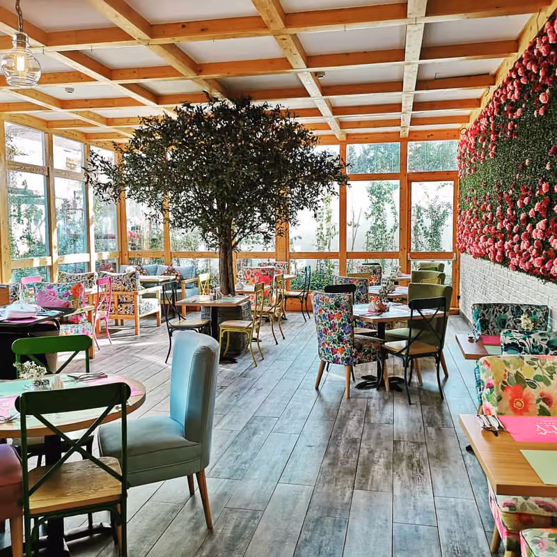 Lily Restaurant