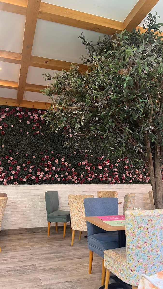 Lily Restaurant