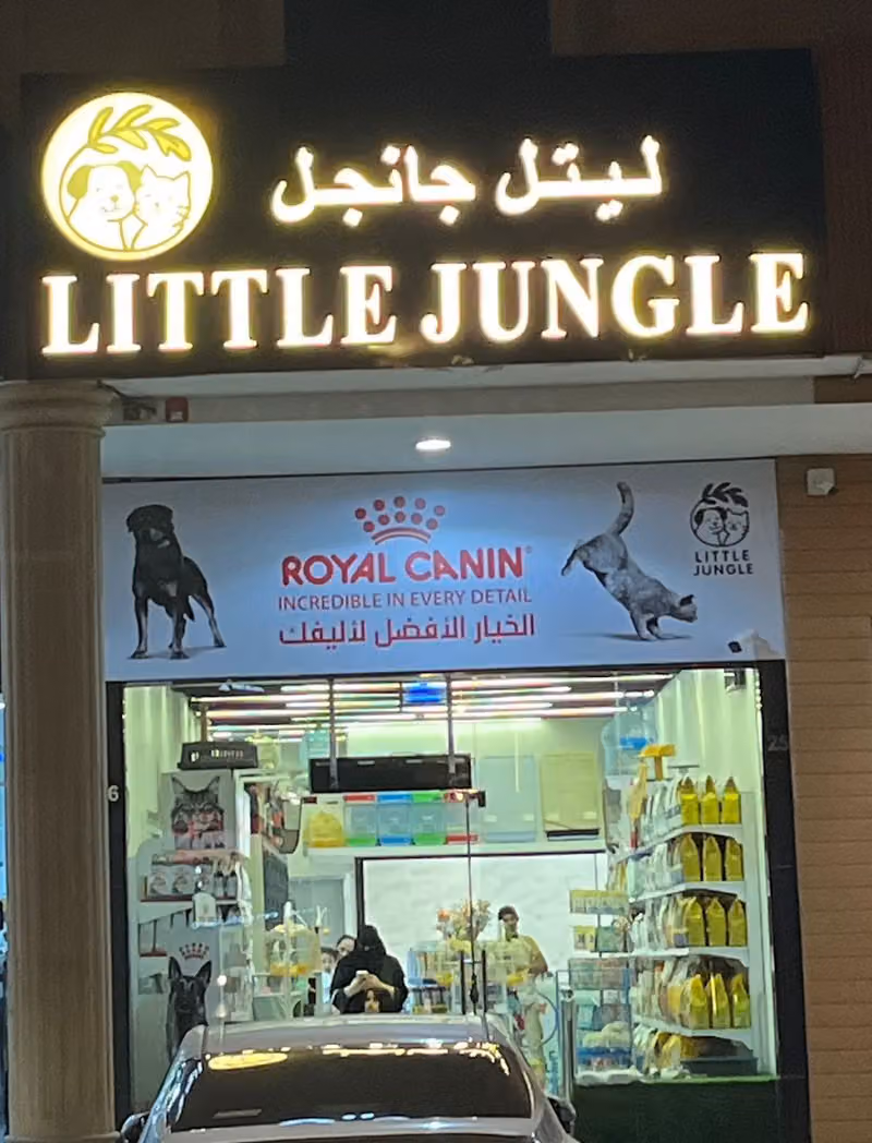 LITTLE JUNGLE | ليتل جانجل