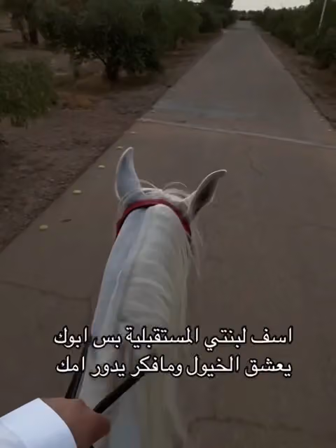 للإكترونيات