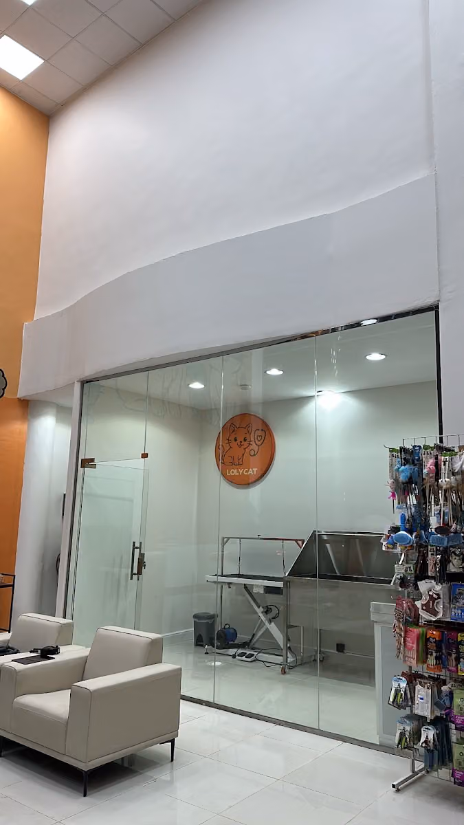 Lolycat vet Clinic | عيادة لولي كات البيطرية
