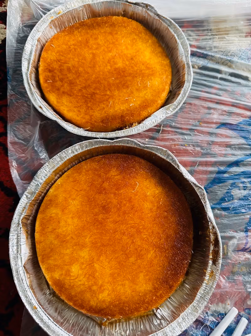 مضغوط تهامة