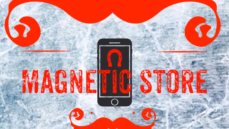Magnetic store accessories