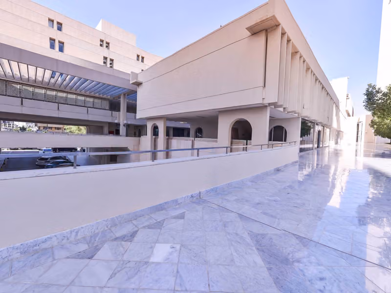 Al Faisal Institute