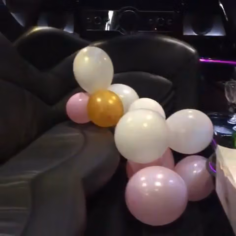 Master Limo