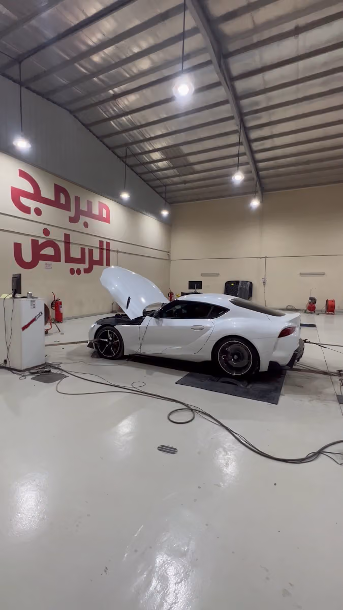 مبرمج الرياض