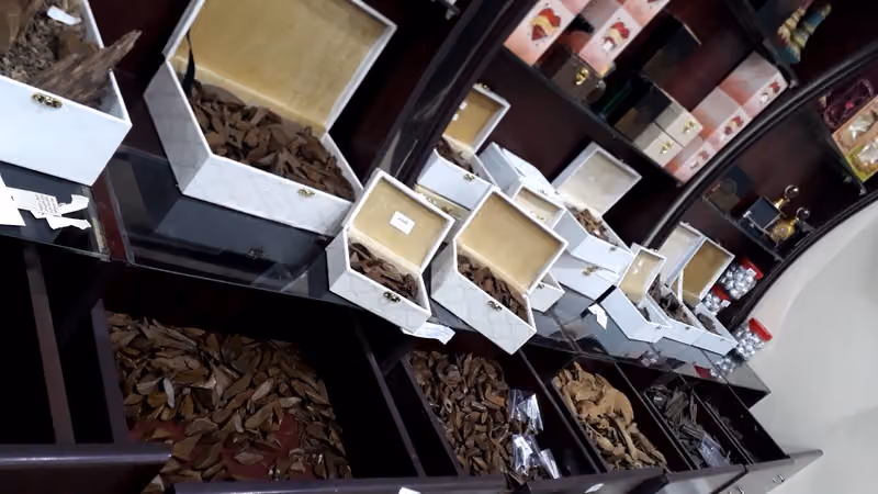 مدارات للعود