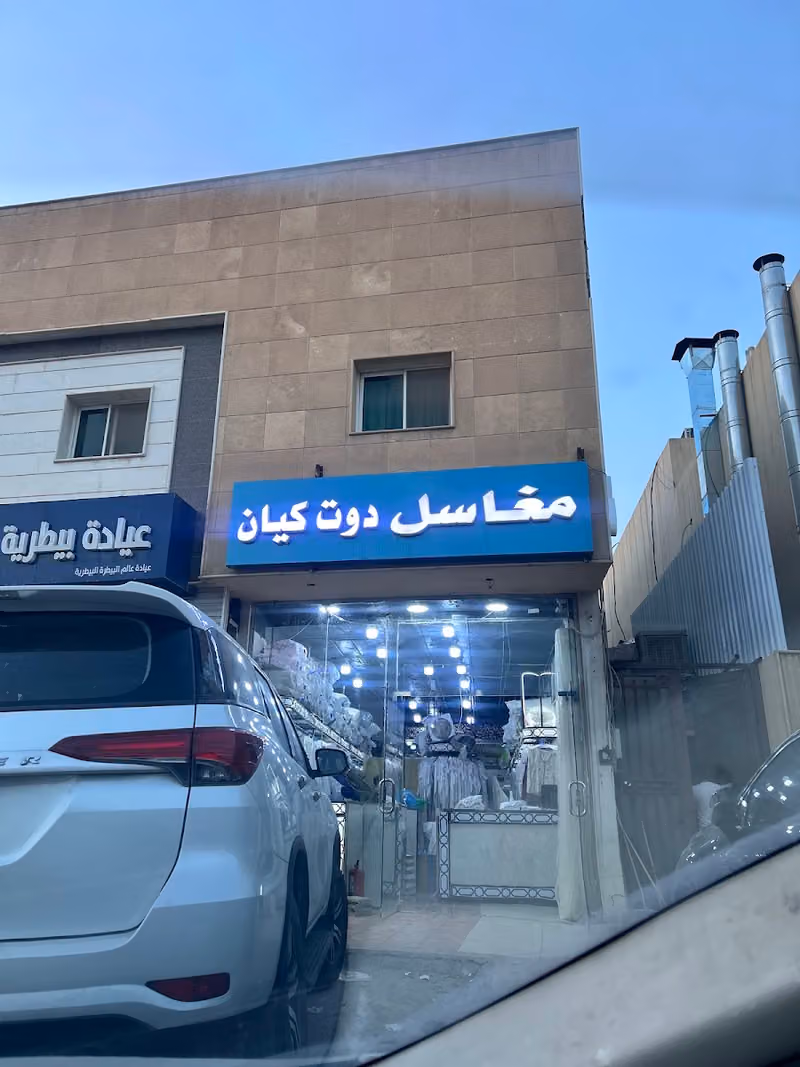 مغاسل دوت كيان