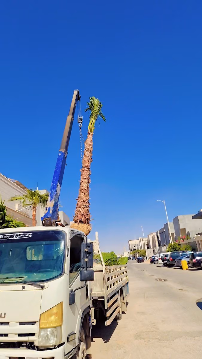 مغاسل زاوية الشبكة