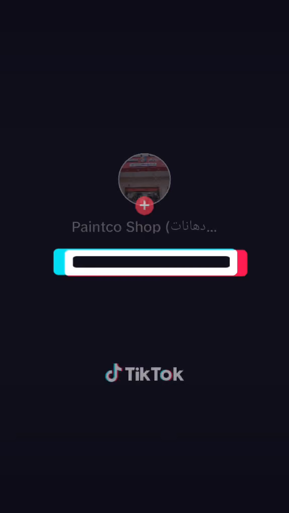 Paint Shop(دھانات محل)